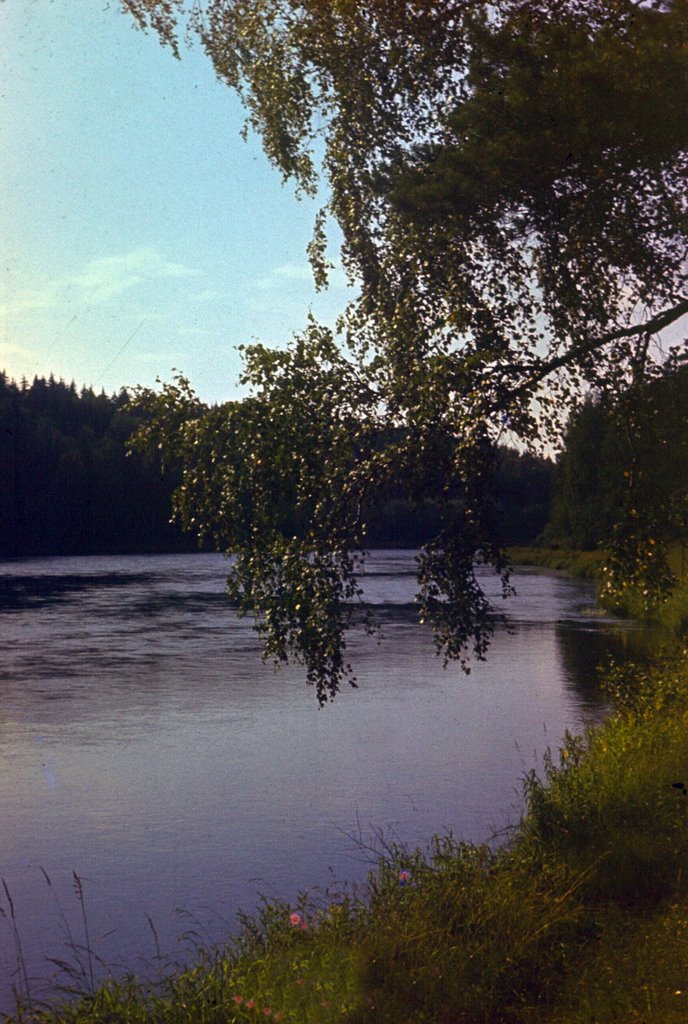 Selizharovsky District, Tver Oblast, Russia by Andris Malygin