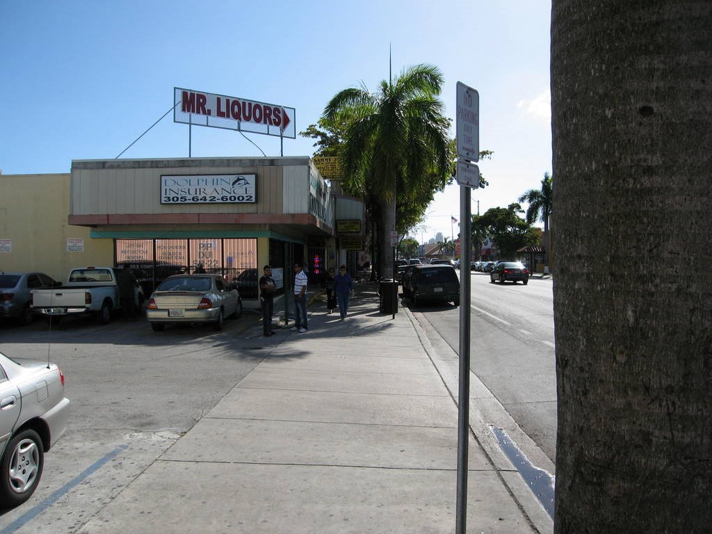 West Little Havana, Miami, FL, USA by mobyll