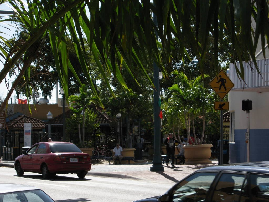 East Little Havana, Miami, FL, USA by mobyll