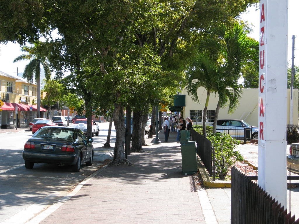 East Little Havana, Miami, FL, USA by mobyll