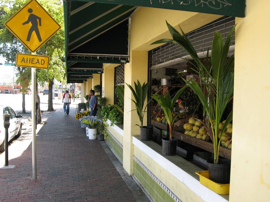 East Little Havana, Miami, FL, USA by mobyll