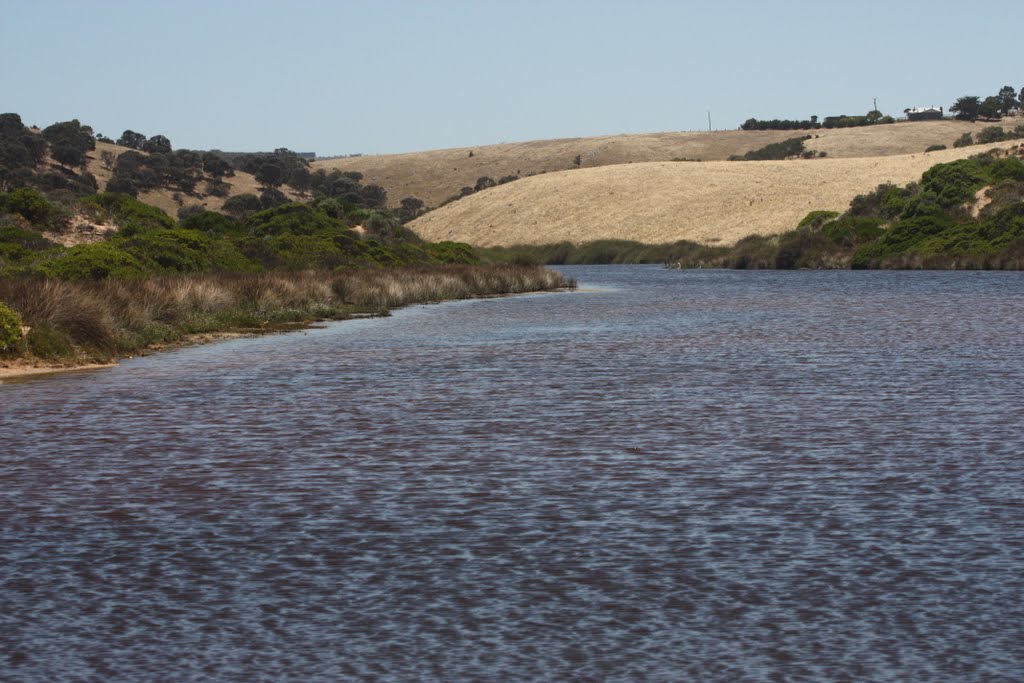 Waitpingo Beach, Newland Head Conservation Park by jlcummins