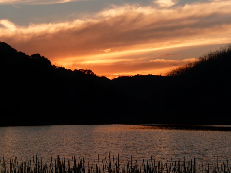 Mount Buffalo "Lake Catani" by lat36s