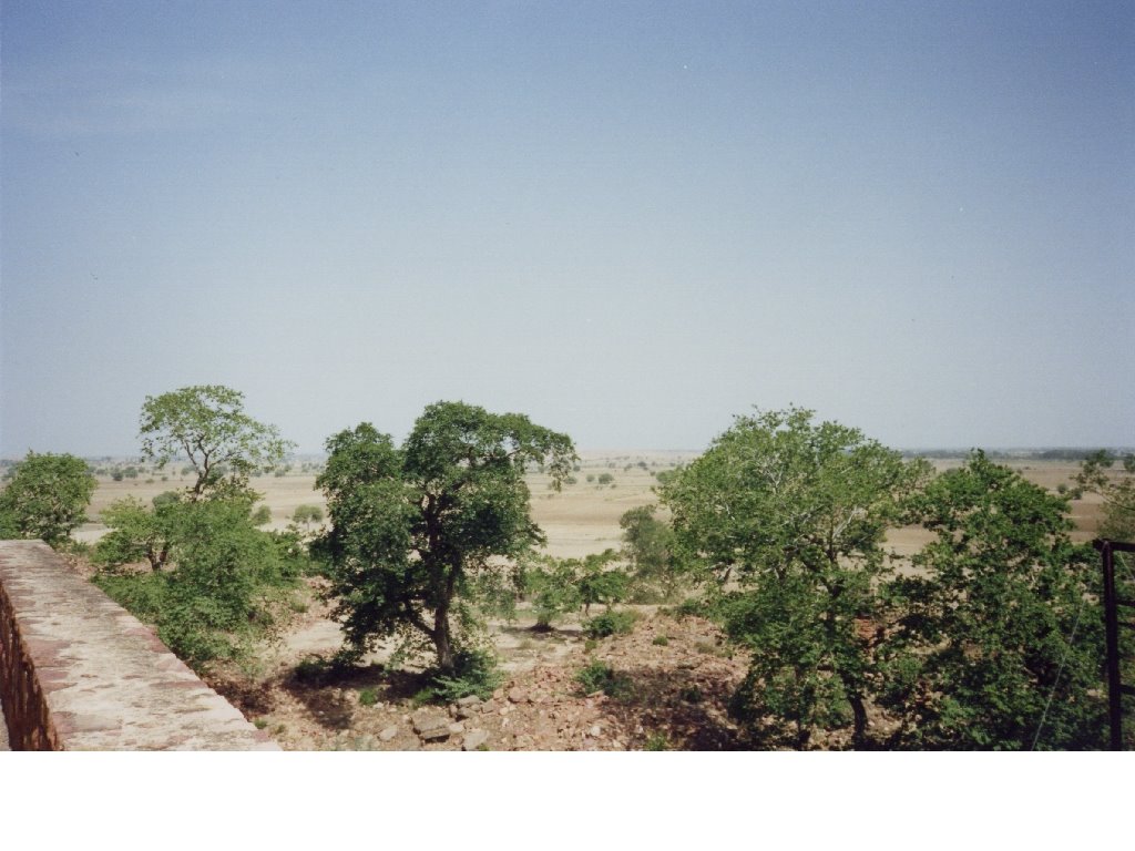 View from Fatehpur Sikri 1, Aug 1989 (scanned) by Michael Stuckey