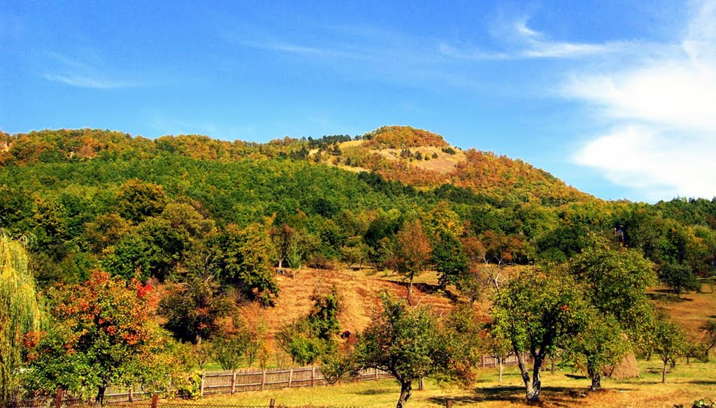 Autumn colors / Őszi színek / Culori de toamna by Napsugi