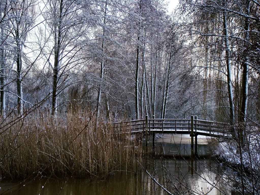 Houtsdonkpark, Ganzewinkel, Helmond by mzw a.k.a. uaf