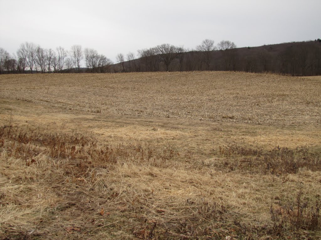 Famfield on Route 209 Northward by Chris Sanfino