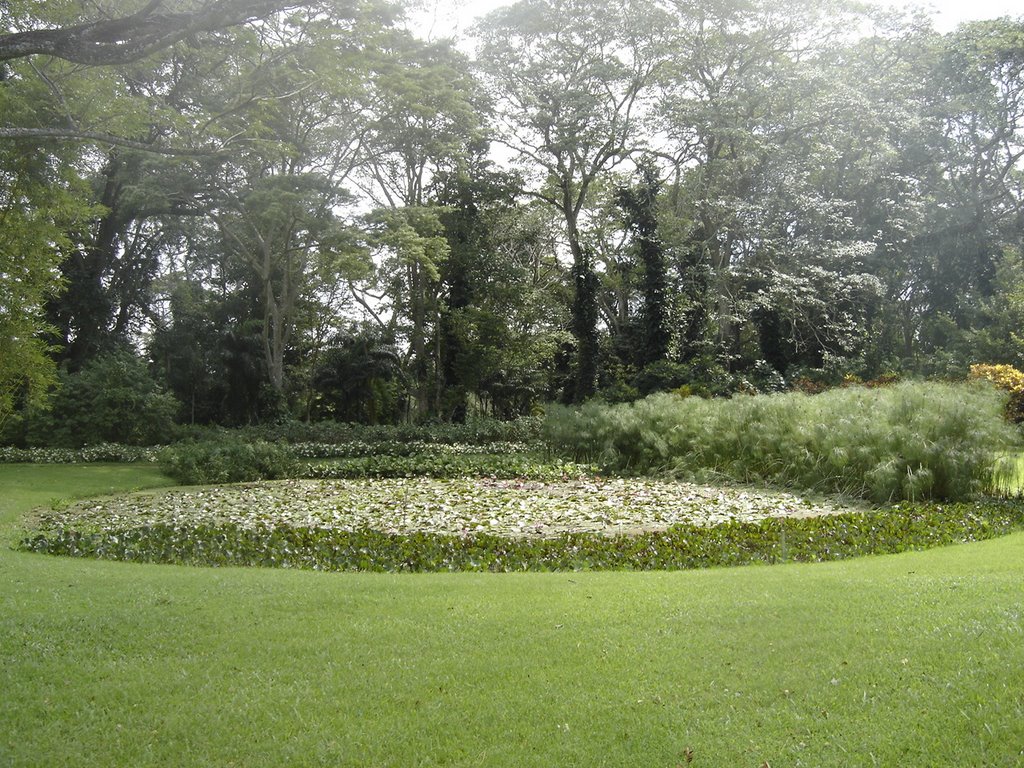 Parque de la Exotica Flora Tropical, San Felipe, Edo. Yaracuy by Luis Maturana