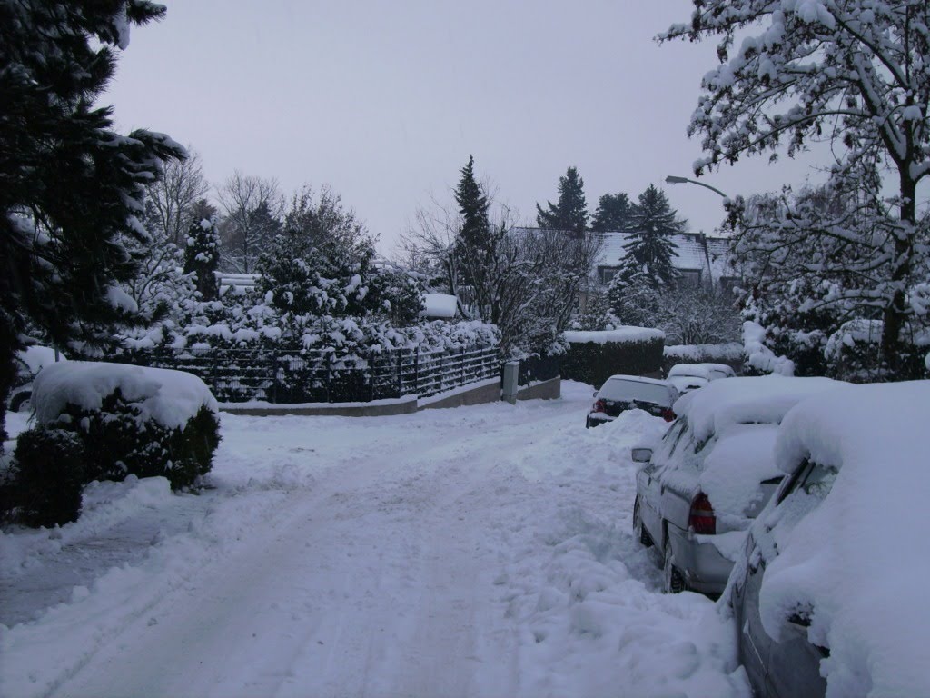 Albanusstrasse im Winter by Klaus Mellin