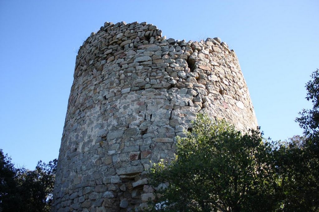 El Castell de Sant Miquel by acontel