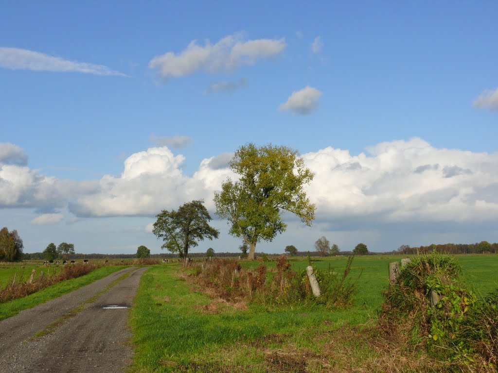 Oldenburg, am Bornhorster See by vo-id