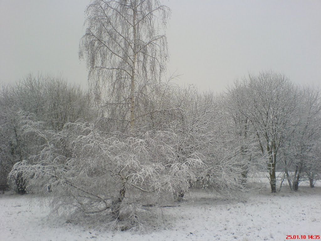 Sindorf im Winter by Ilir Machete