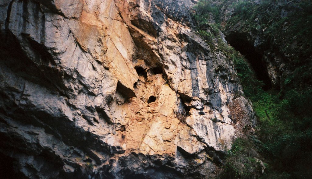 Face in the Stone; Jenolan Caves, NSW, Australia by Cat Watson