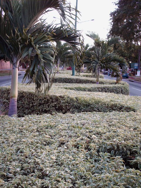 Avenida Los Leones by Antonio Tielve