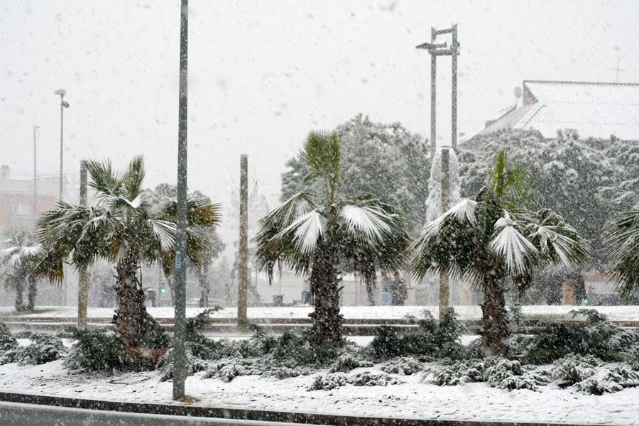 Glorieta de Almogávares nevada by J.Zambrano