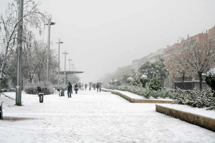 Nevada histórica sobre el Paseo de Córdoba by J.Zambrano