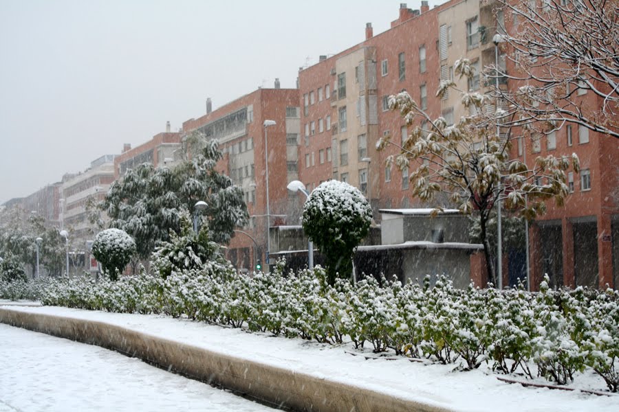 Paseo de Córdoba nevado by J.Zambrano