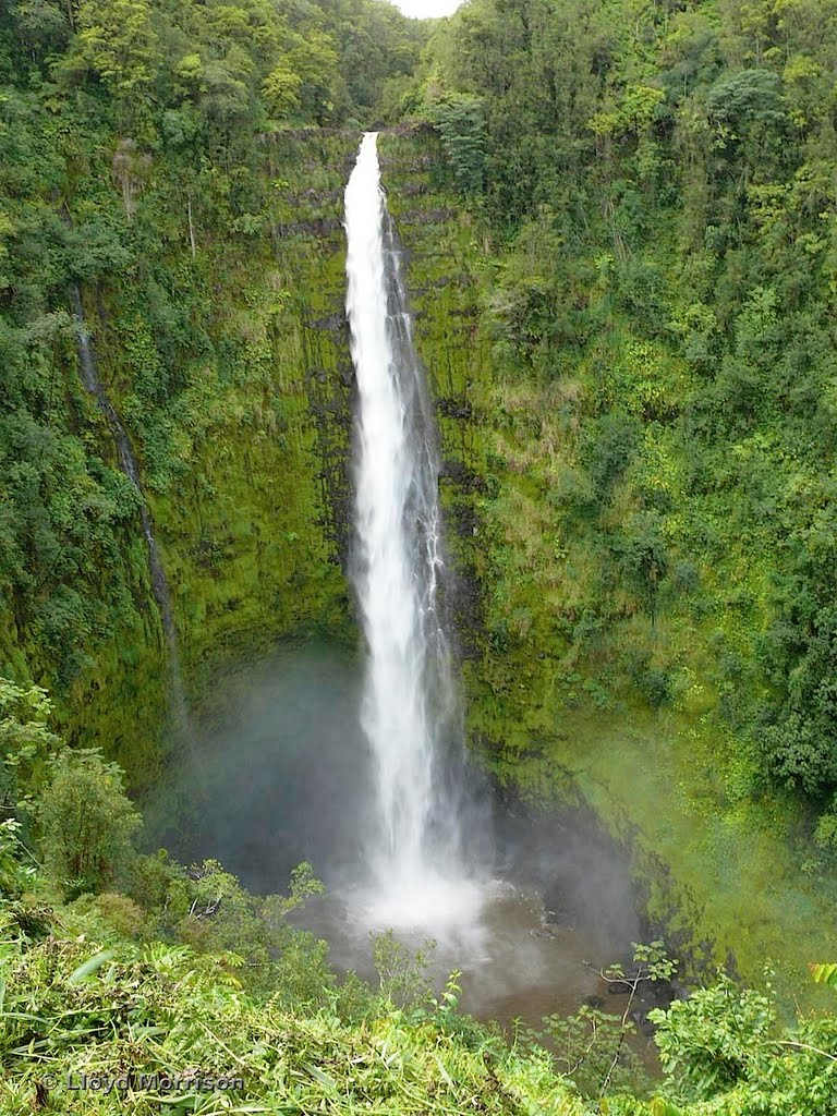 Akaka Falls, Big island, Hawaii by adventuretravelww.com