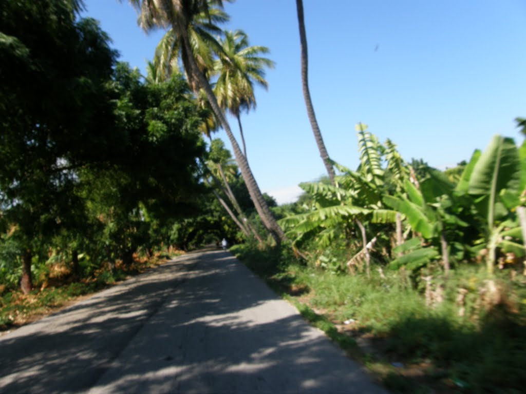 Camino de neyba by tigrelicey