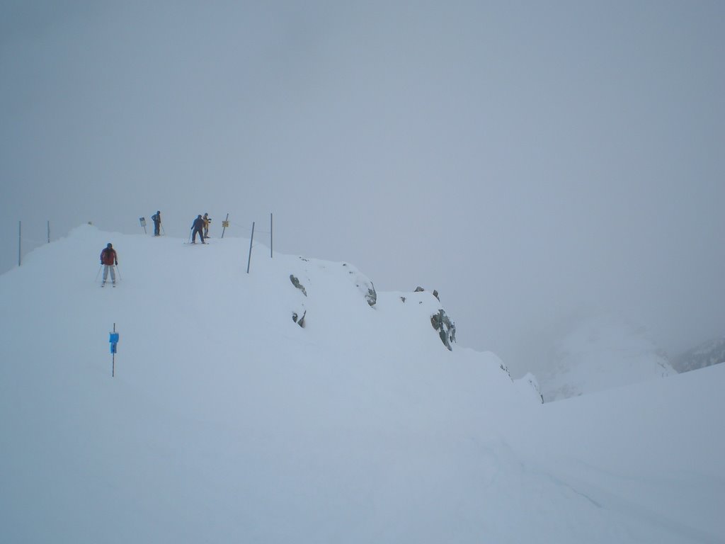 Top of Chainsaw Ridge by SantaCruzExplorer