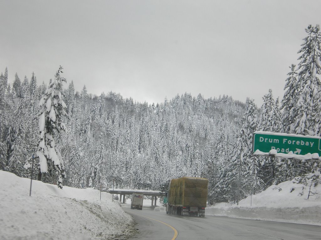 Snow at 4400 ft by SantaCruzExplorer