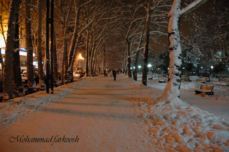 Night winter walking by Mohammad Farkoosh