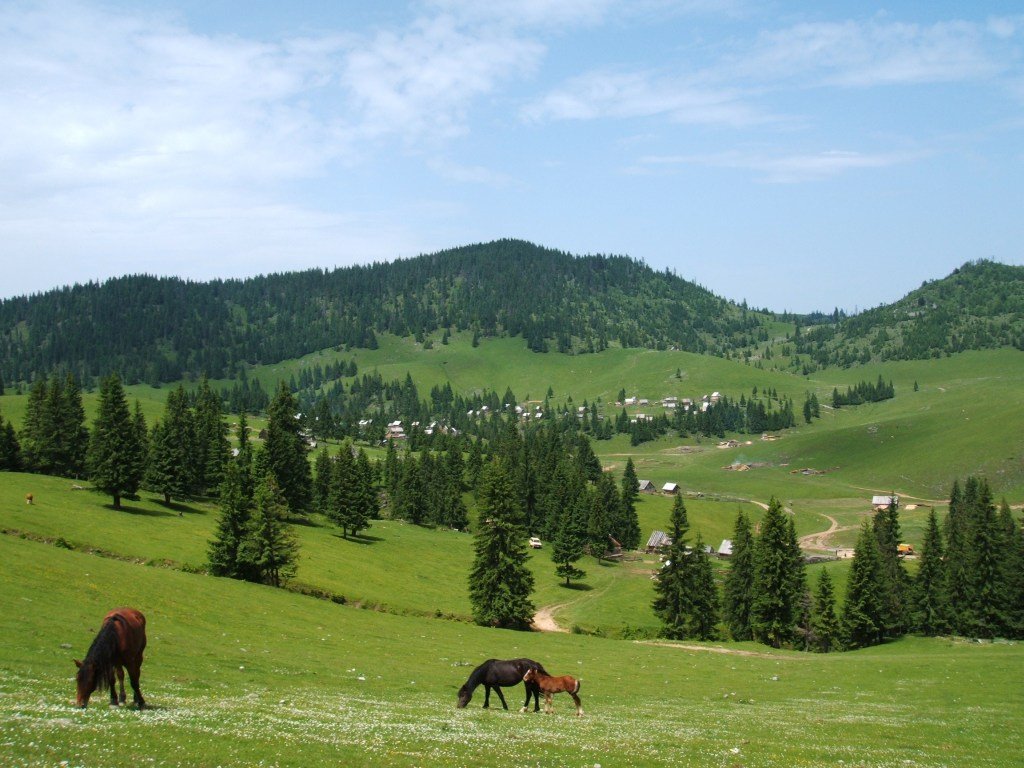 Platoul Calineasa by Bogdan Grigore