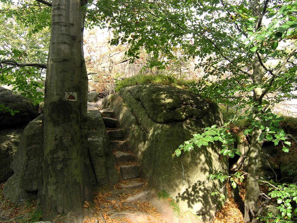 Na vyhlídce Krásná Máří nad Hejnicemi - Na vyhlídce Krásná Máří nad Hejnicemi - Lookout Krasna Mari over Hejnice by Tomas K☼h☼ut