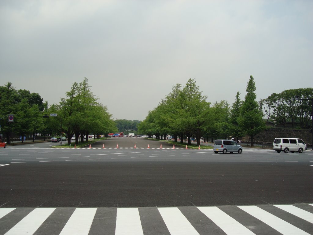 Road to the Palace by 岡田朋和