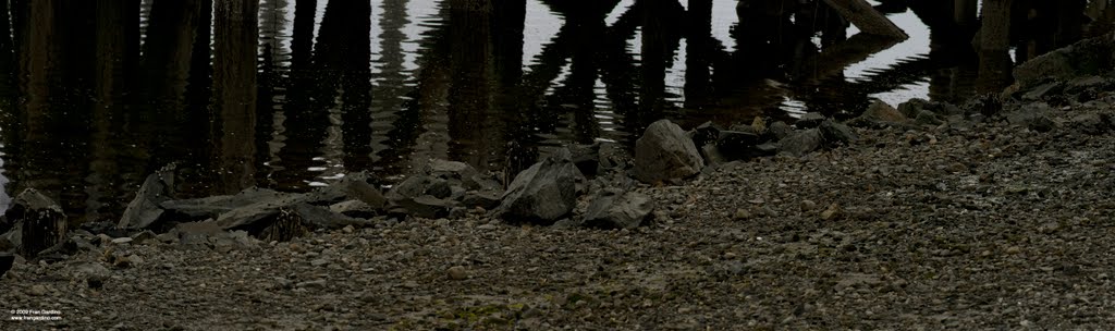 Somerville Beach with Inedible Periwinkles by Fran Gardino