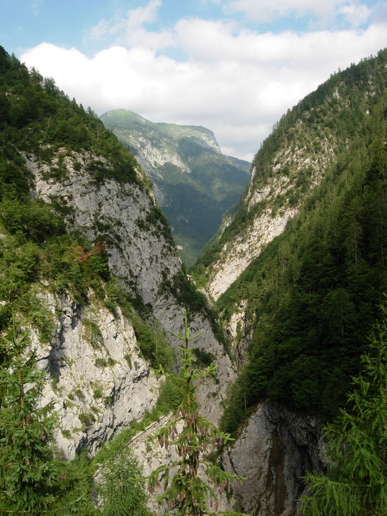 Front - hydroelectric plant Sauris by DavidTour