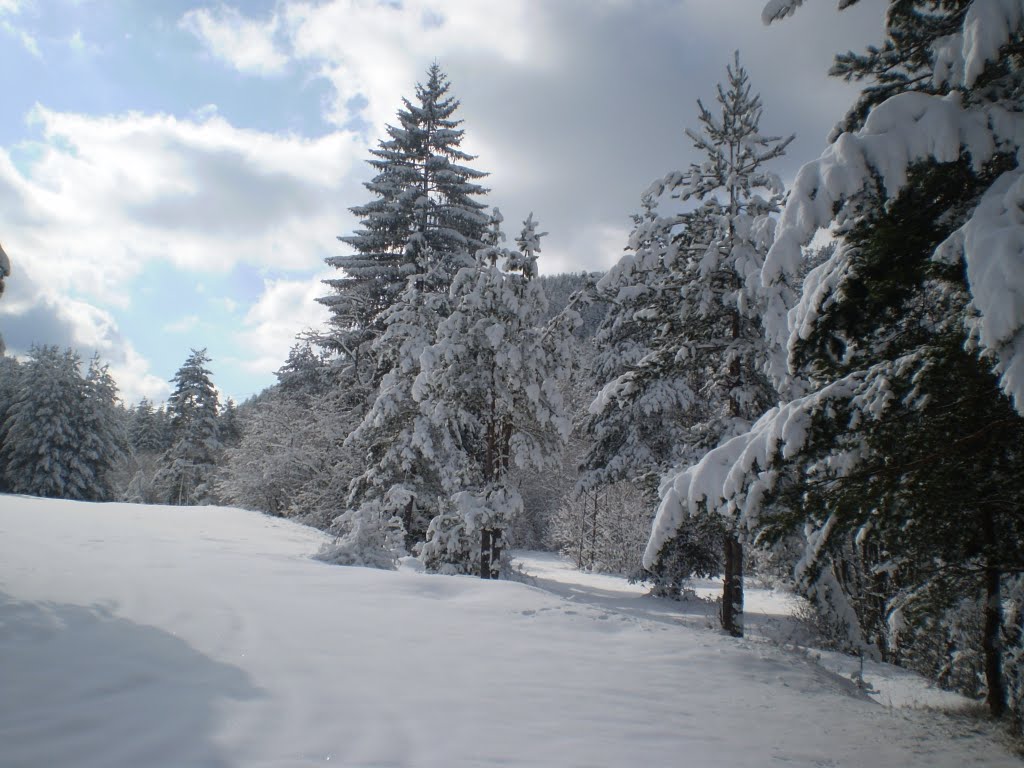 Winter landscape by Elena Budinova