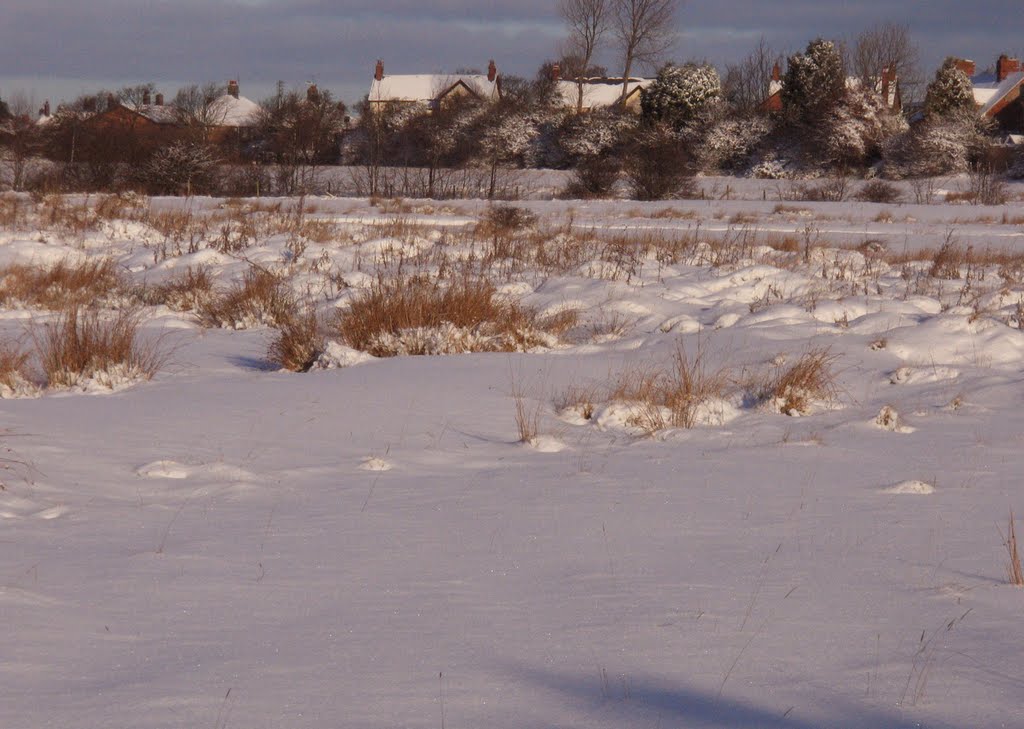 Boldon Flats Nature Reserve : South Tyneside : Snow by Calroy