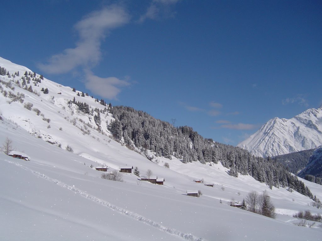 Les Contamines-Montjoie, Hameau au dessus de Colombaz by nicolethiemonge