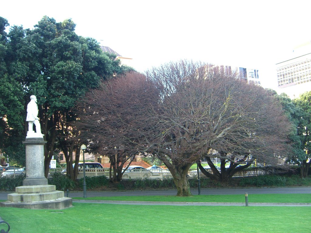 Parliament's Garden by Pierpaolo Farina