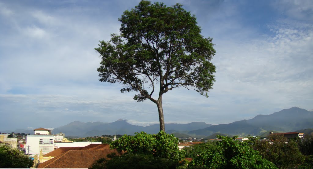 Vista sobre a praça 9 de Julho em Cruzeiro by FlavioCosta