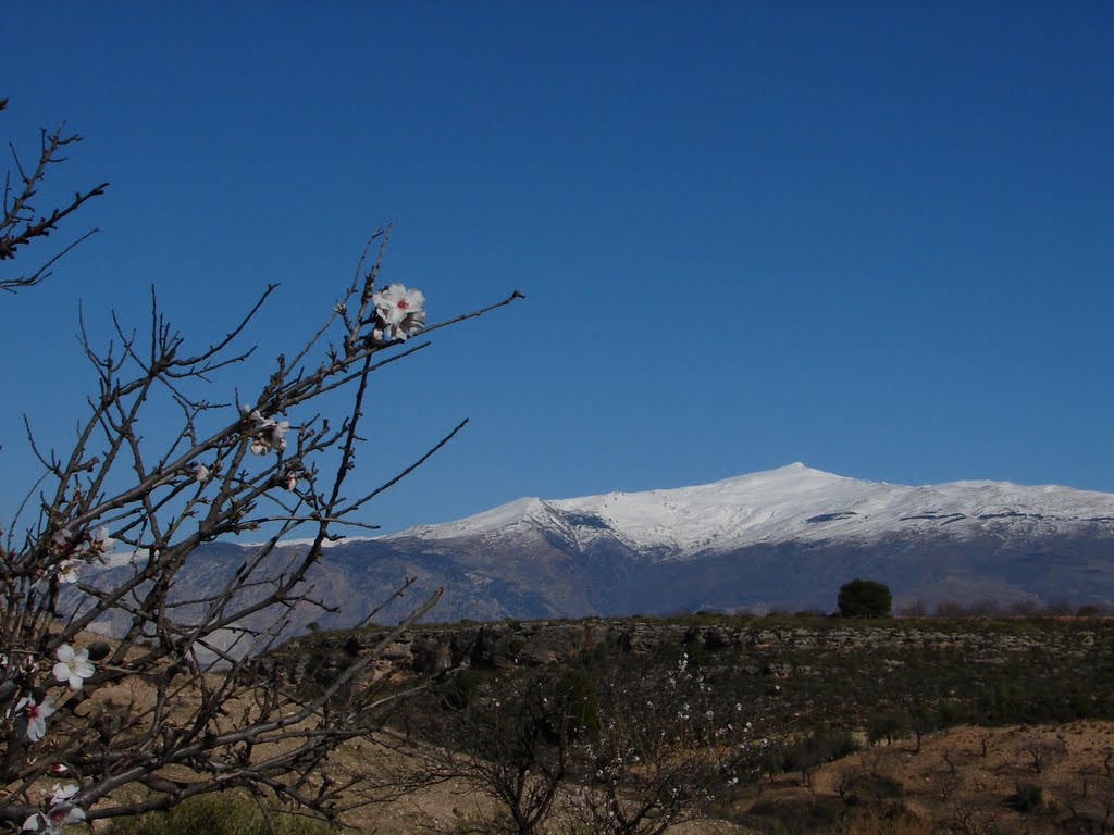 Cerro del caballo by antonio_aguilera