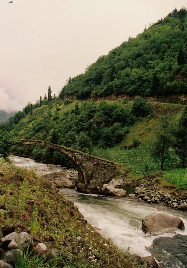 Karadeniz ( Köprü - Yolkıyı ) by Metin Erinc