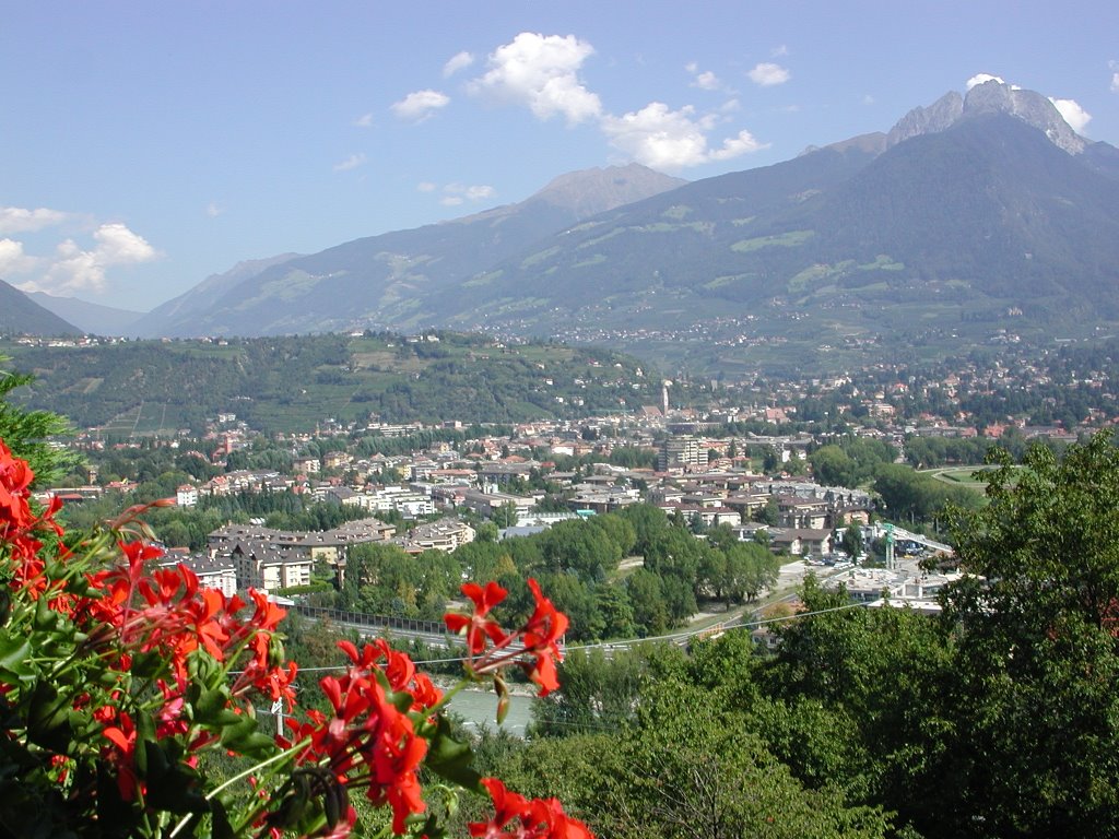 Aussicht vom Hotel Marlena nach Meran by ml22