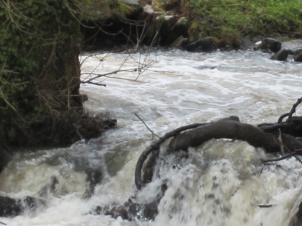 Close up of Weir at Farlow by gordonphogg1959