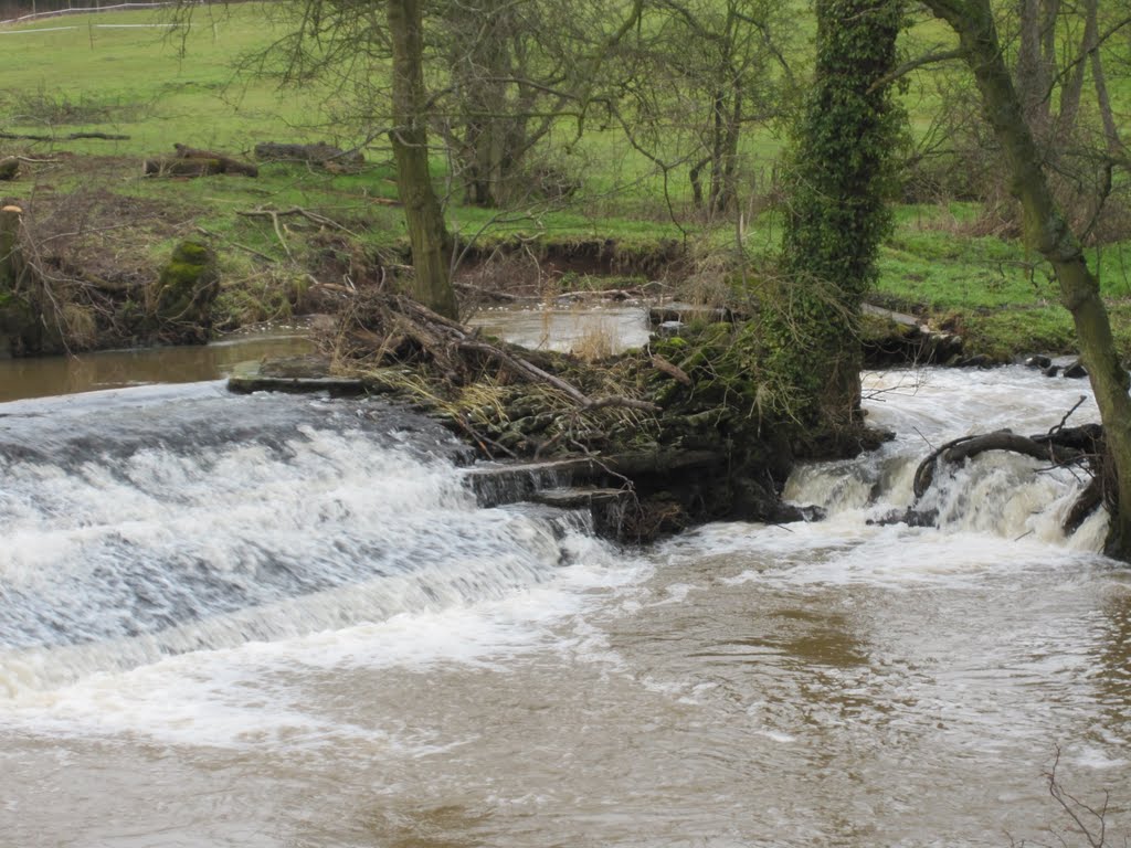 Weir at Farlow 2 by gordonphogg1959