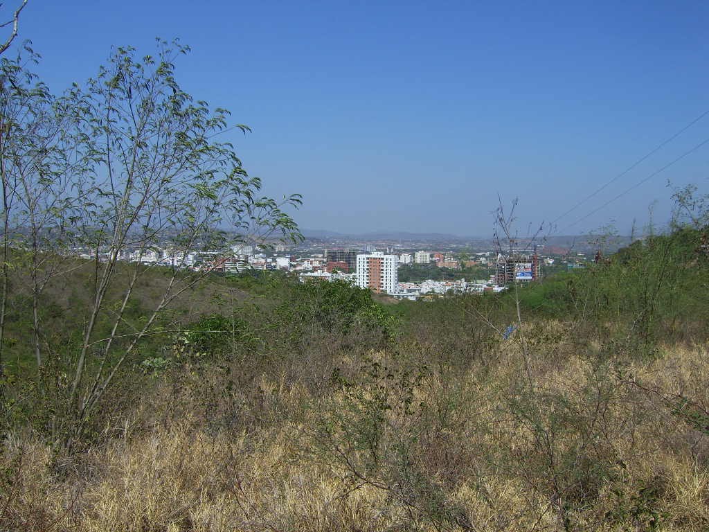 Panóramica Desde La AutoInter by jota05