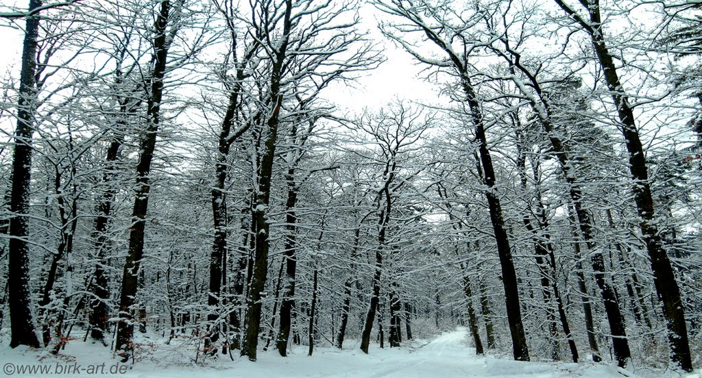 Winter 2010, Taunus Hills, Germany by bastian birk