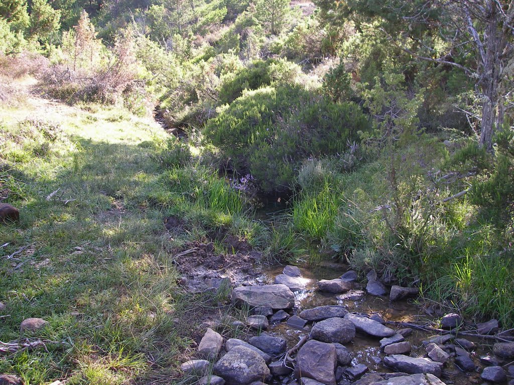 Barranco de La Hoyuela. El Horcajo. Lumbreras de Cameros. by José Ramón Francia Silva