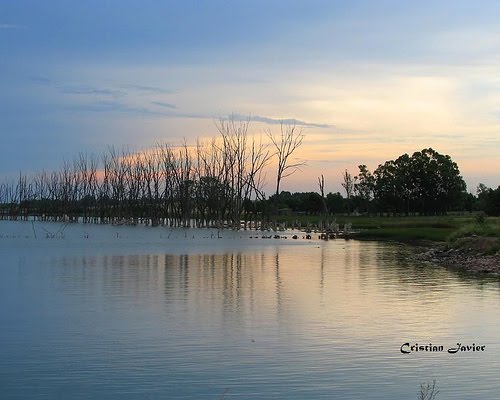 Inundación en la laguna de Puan - Buenos Aires - Argentina by cristianbertinat