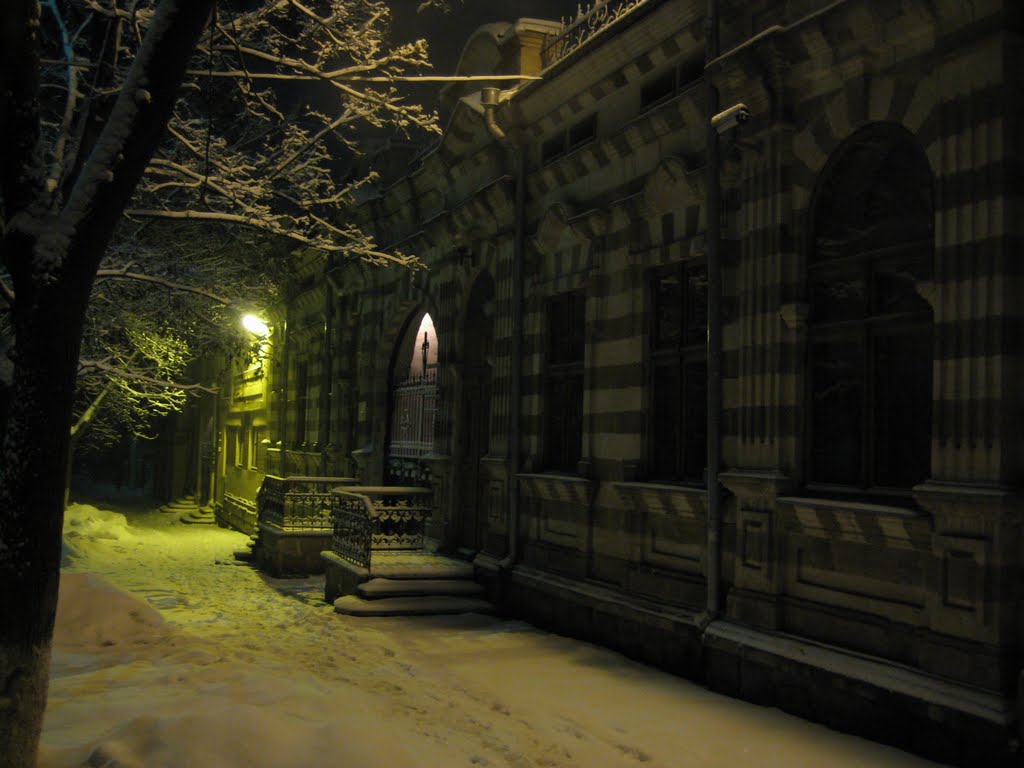 Evening winter street by Neal Forester