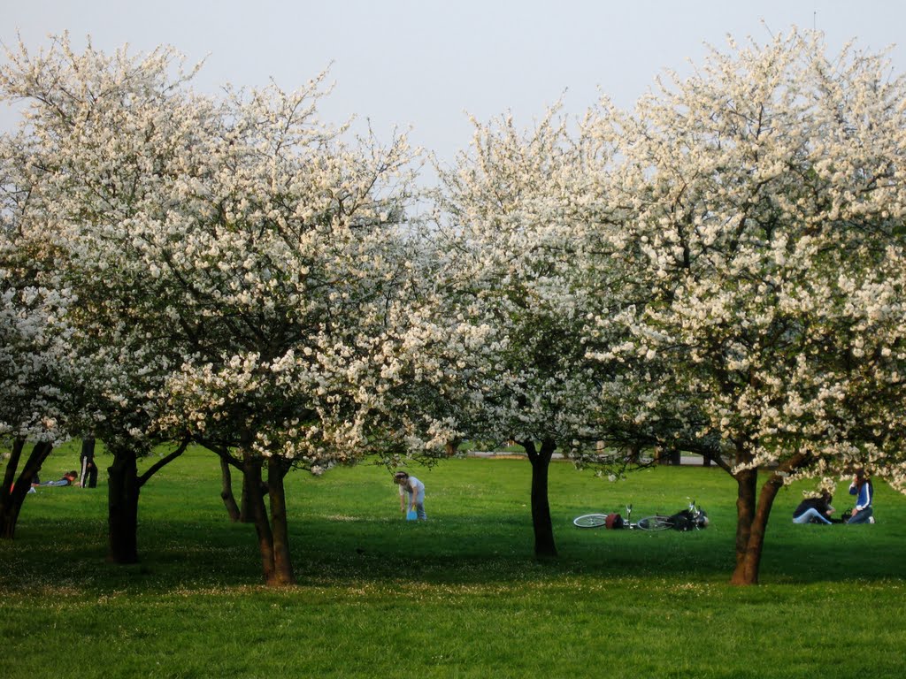 Parco Bissuola by gilberto silvestri