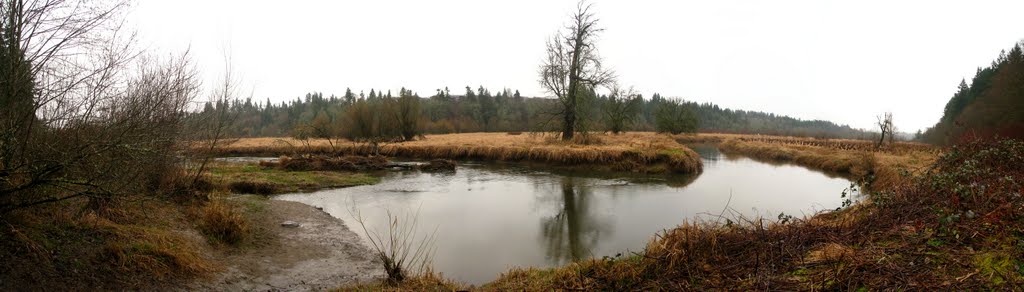 Cougar Creek enters Salmon Creek by Dana Jensen