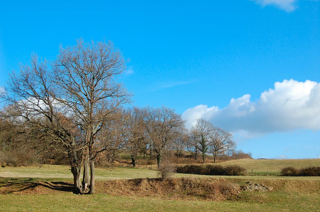 Campagne au-dessus d'Auzat-sur-Allier by Les Argonautes