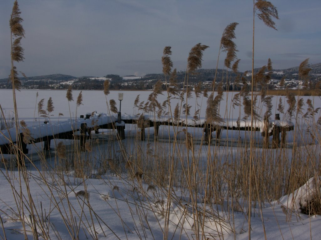 Frozen Lake by roliwa